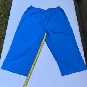 Kim Rogers Capris in Blue Sz 12